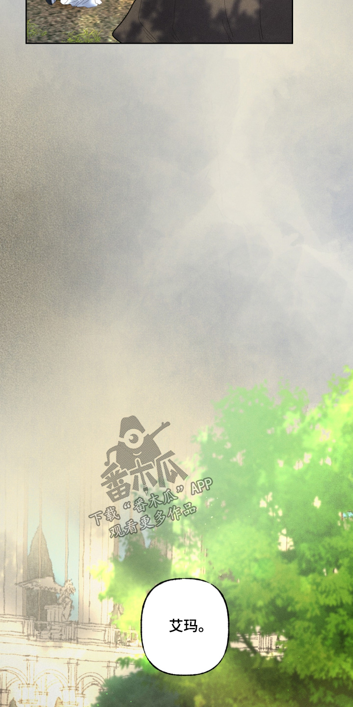 魔法师之恋芭蕾舞剧照片漫画,第24章：我们谈谈吧5图