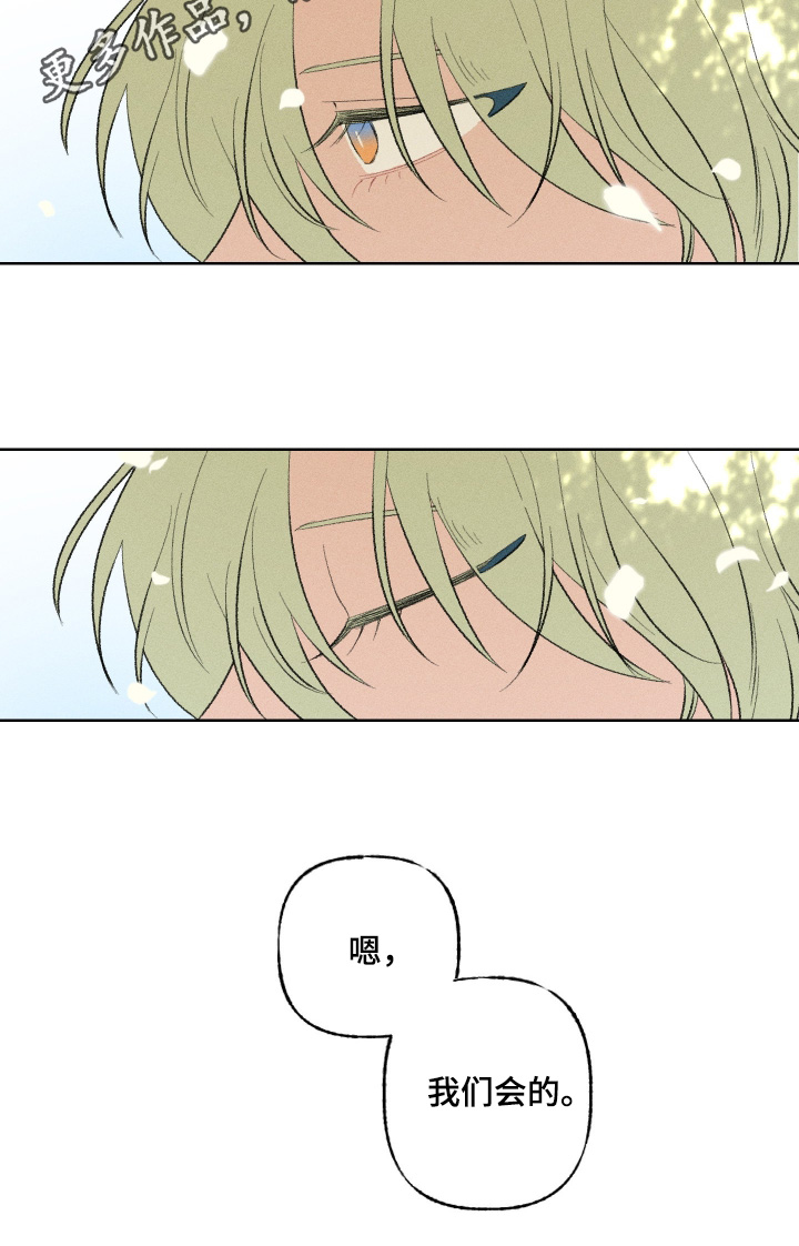 魔法师的骨灰在哪漫画,第26章：我们会的3图