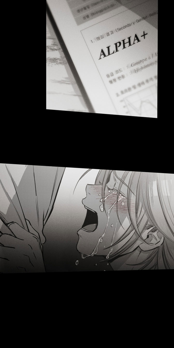 破碎之环起源漫画,第21章：许愿5图