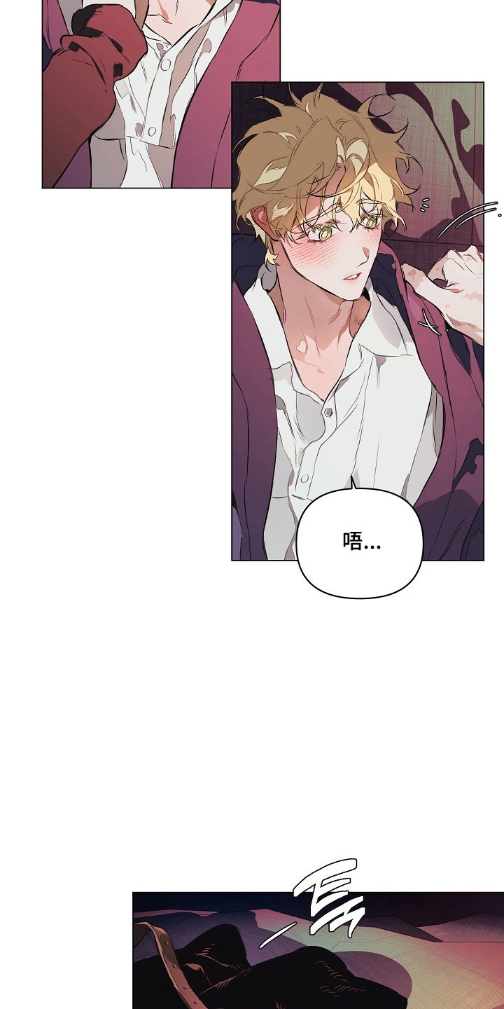 纯白英短漫画,第26章：喜欢哪里3图