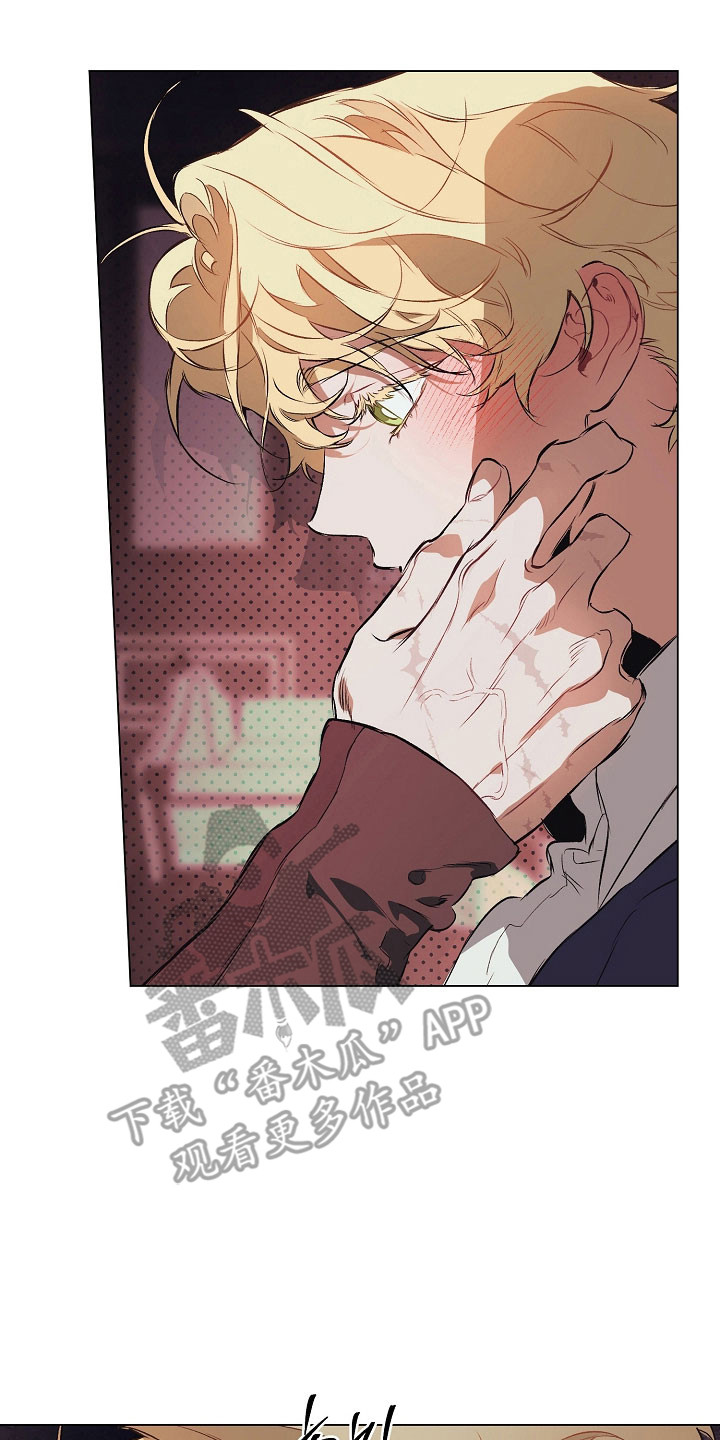 纯白英短漫画,第26章：喜欢哪里2图