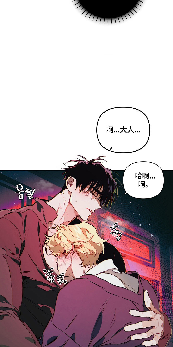 纯白英短漫画,第26章：喜欢哪里1图