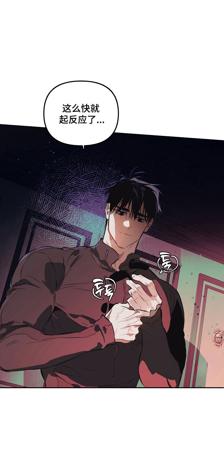 纯白英短漫画,第26章：喜欢哪里1图