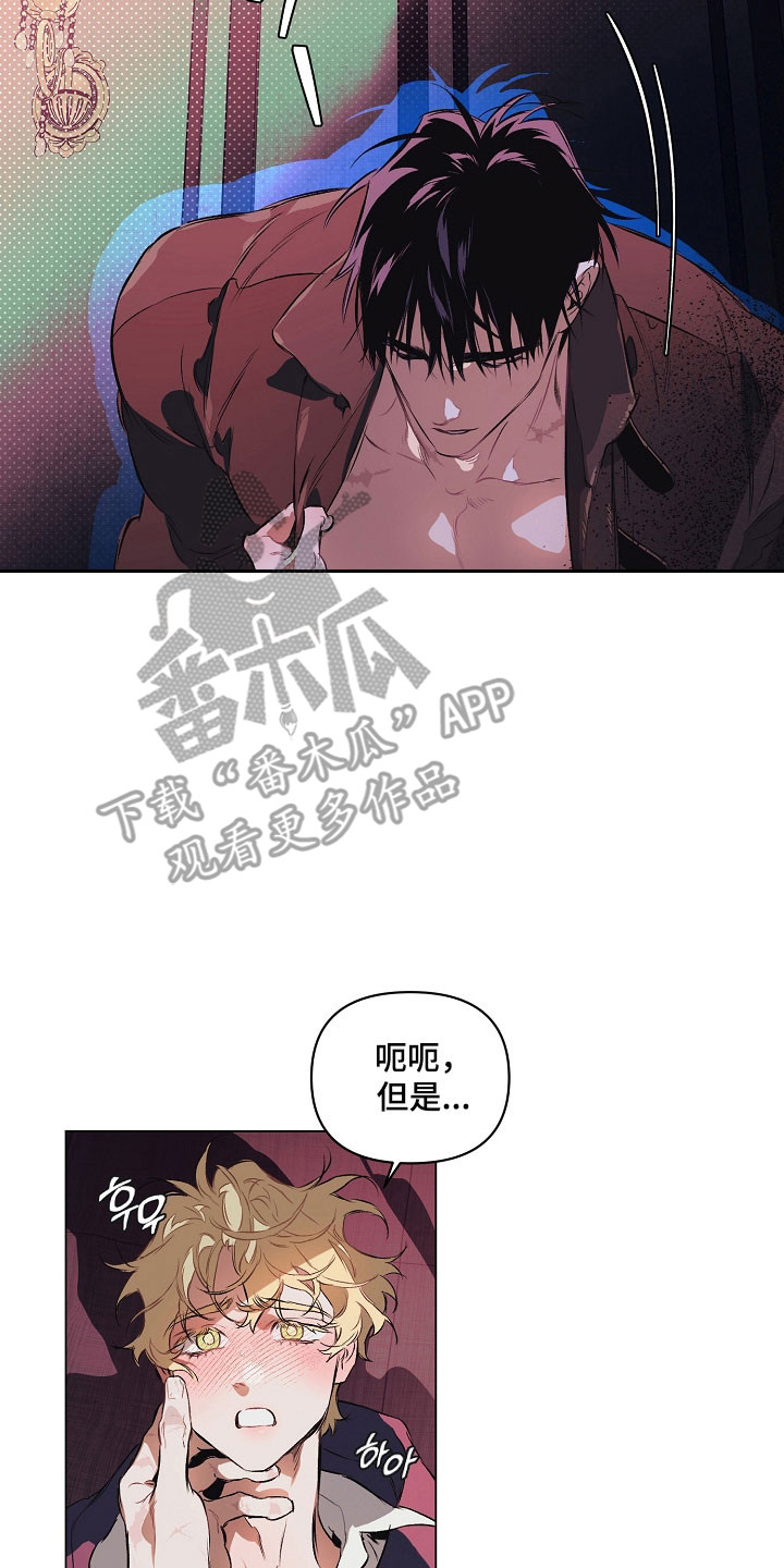 纯白英短漫画,第26章：喜欢哪里2图