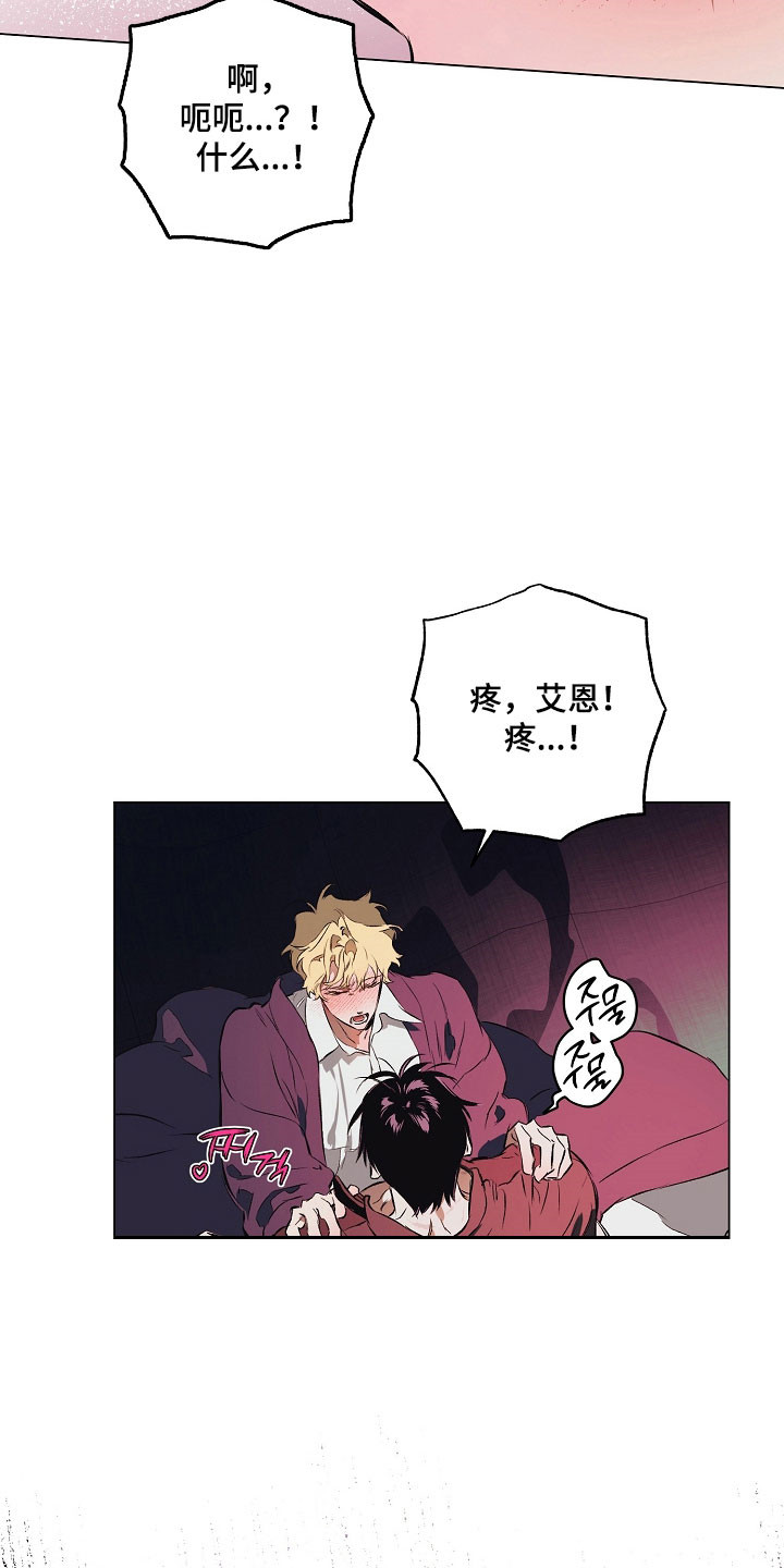 纯白英短漫画,第26章：喜欢哪里1图