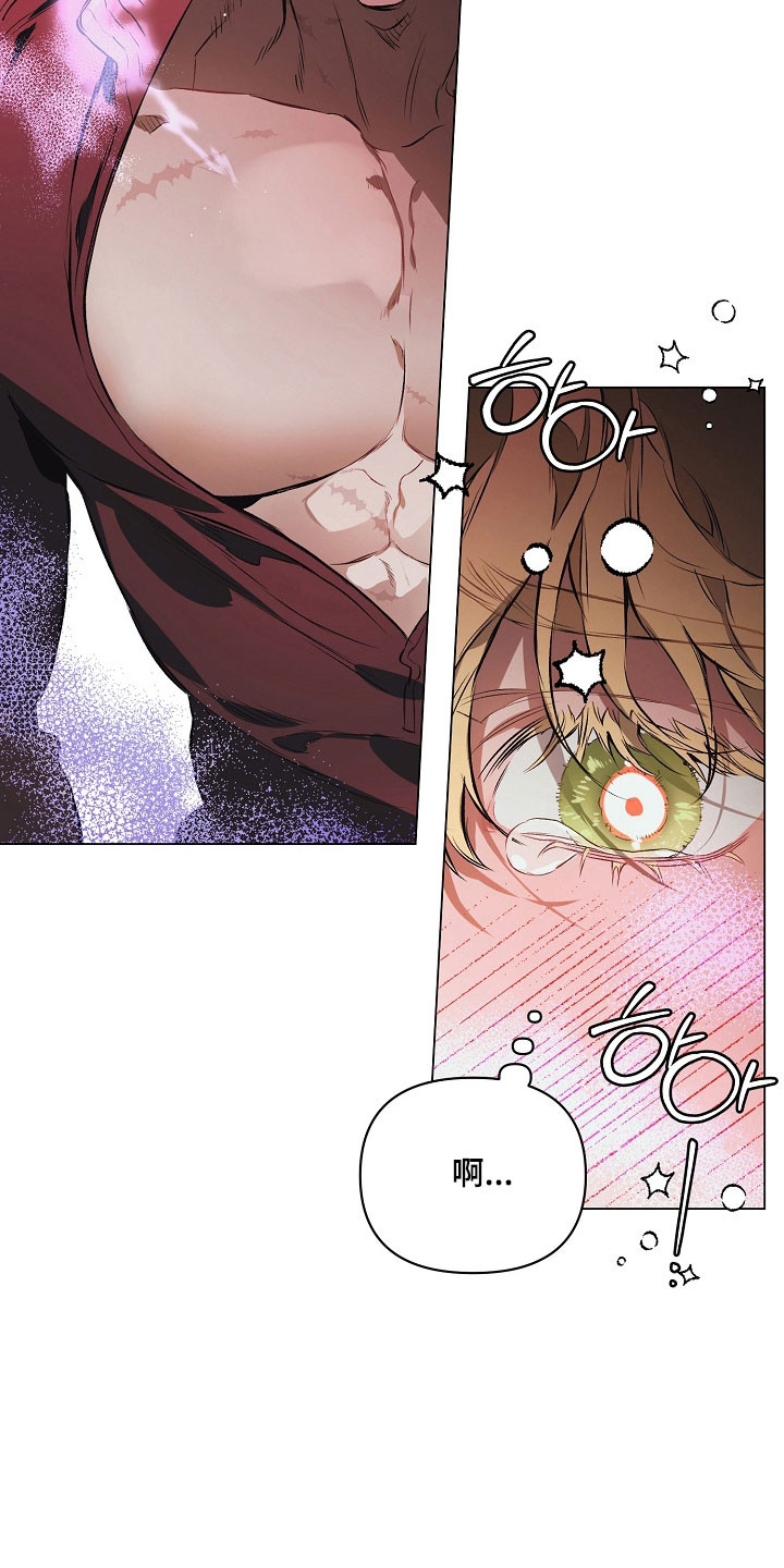 纯白英短漫画,第26章：喜欢哪里4图