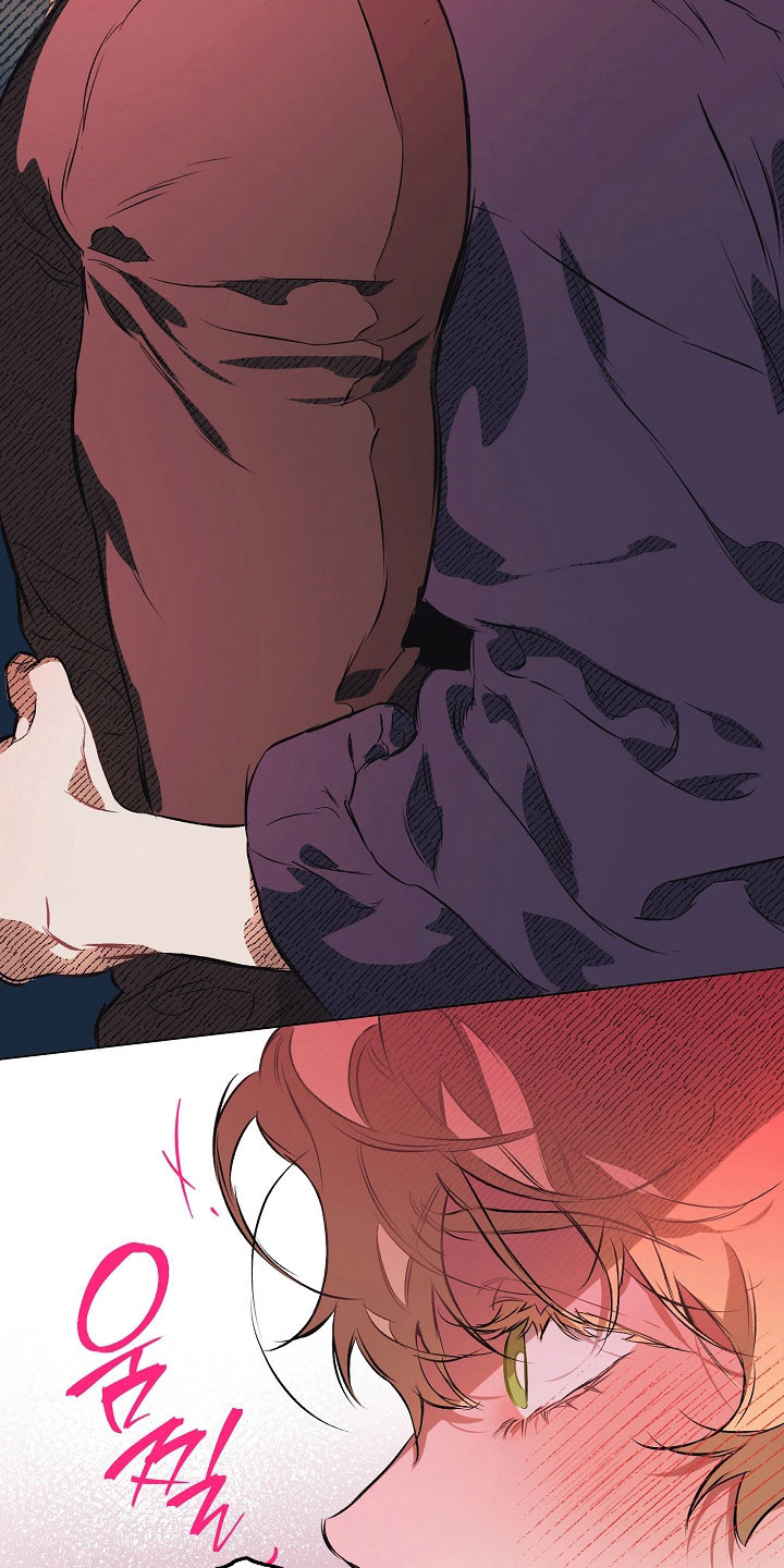 纯白英短漫画,第26章：喜欢哪里5图