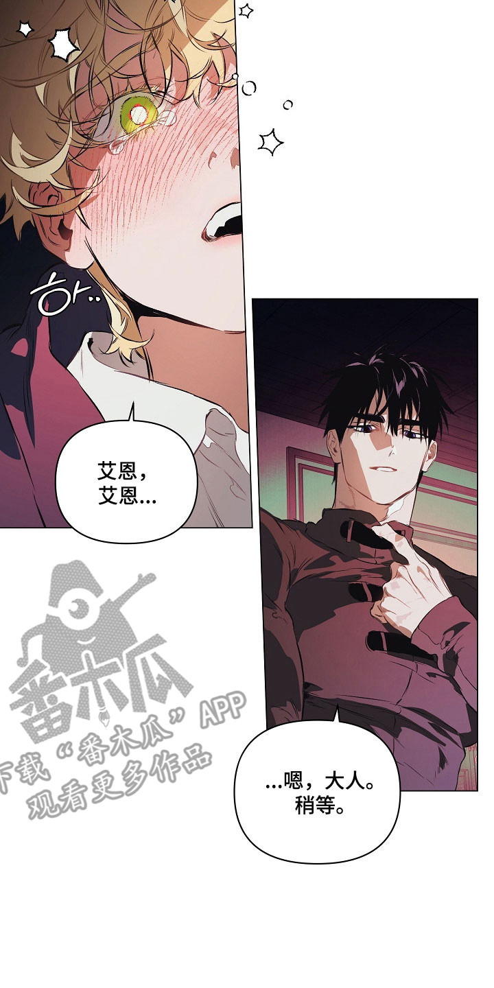 纯白英短漫画,第26章：喜欢哪里5图