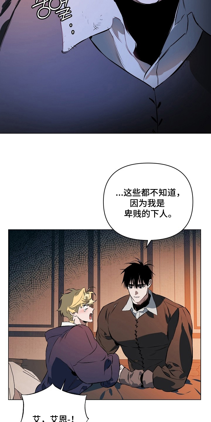 纯白英短漫画,第22章：最终4图