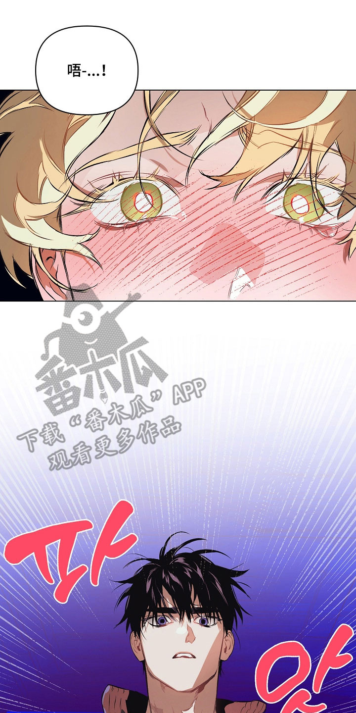 纯白英短漫画,第26章：喜欢哪里4图