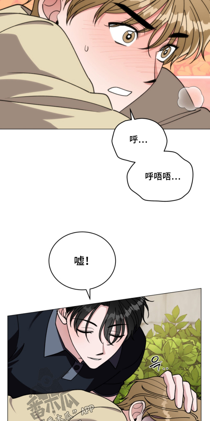 拜金女王台剧免费观看漫画,第21章：可以接受1图