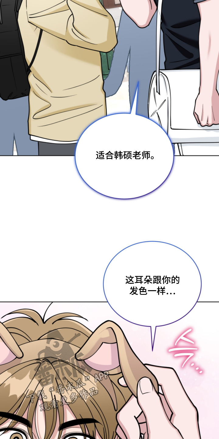 拜金女皇漫画,第16章：太合适你了1图