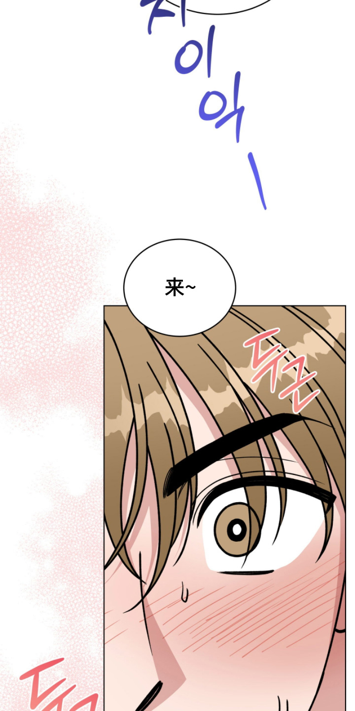 拜金女王台剧免费观看漫画,第21章：可以接受2图