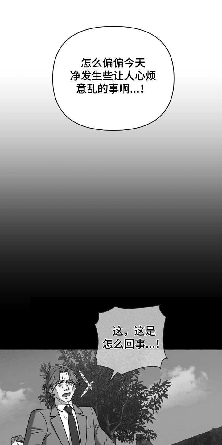 金岩乡砻石溪风雨桥最新消息漫画,第20章：抓捕4图