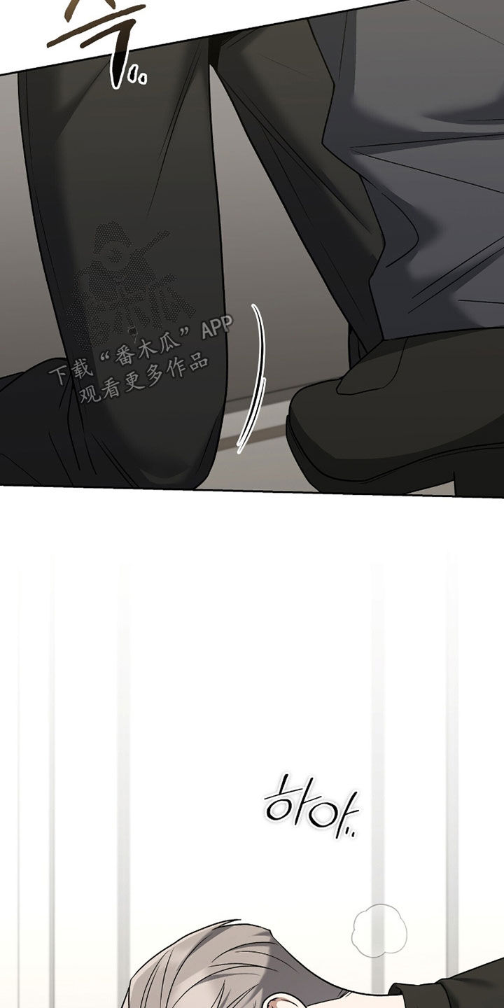 金岩乡砻石溪风雨桥最新消息漫画,第23章：我们是搭档4图