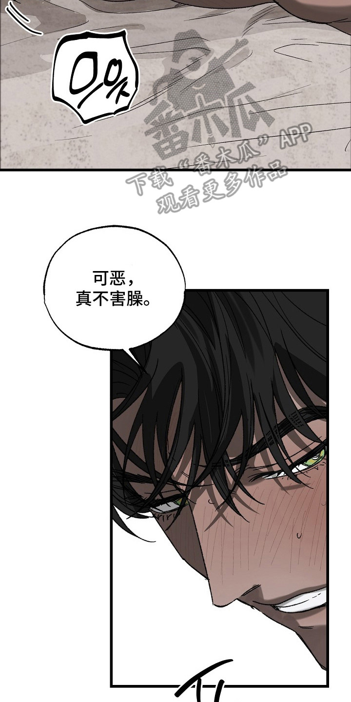 禁忌的恩宠配角结局漫画,第13章：不害臊2图