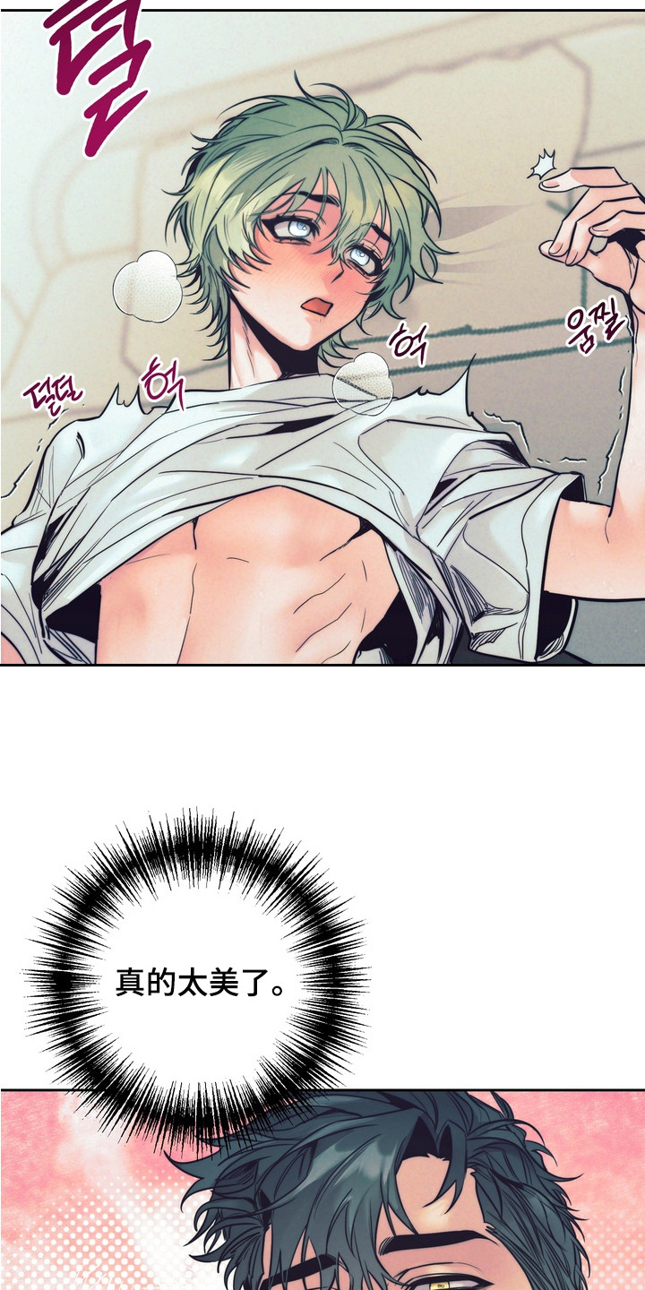 内在爱突变报告漫画,第6章：太美了1图