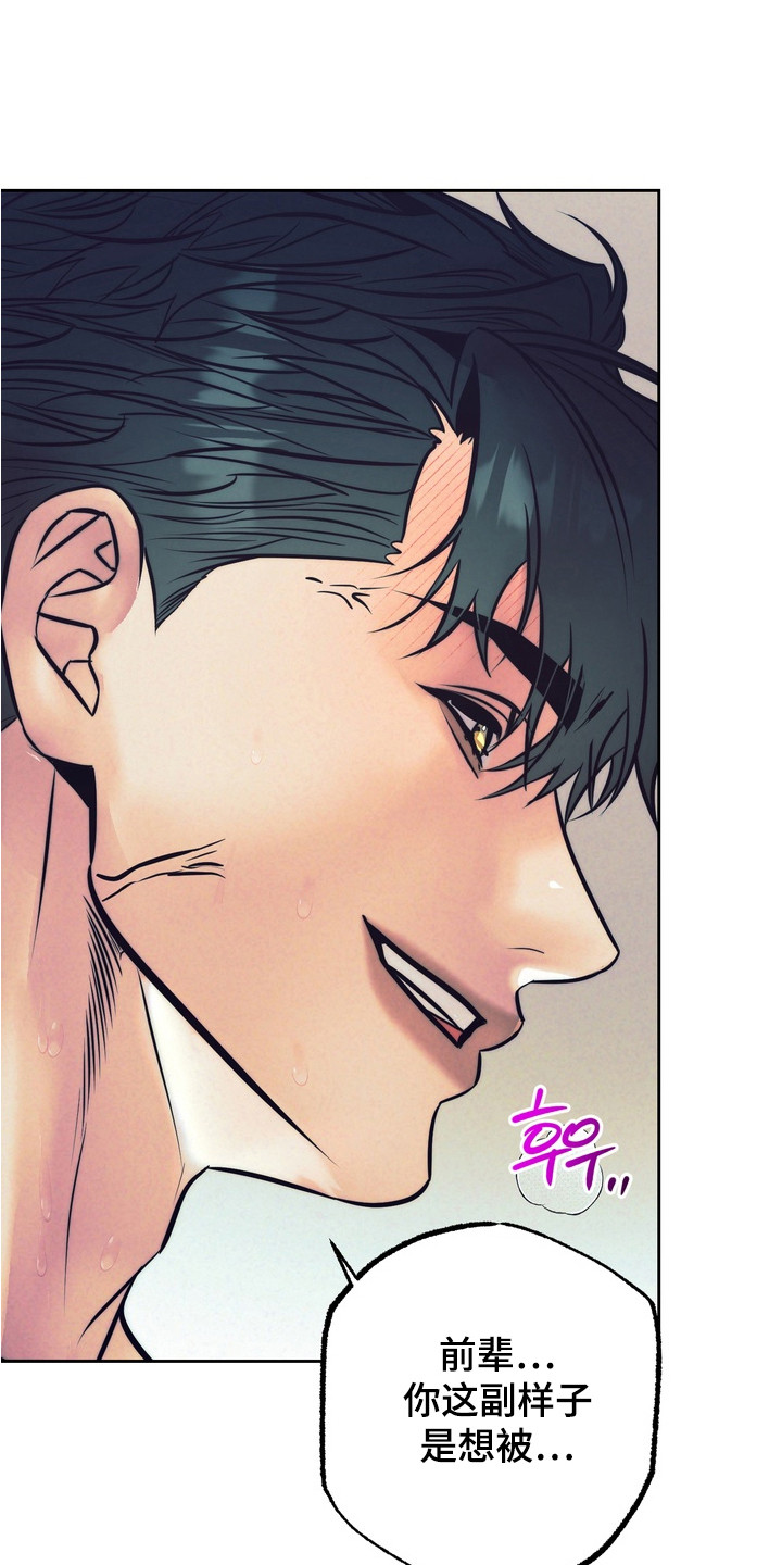 内在爱突变报告漫画,第11章：欺负与奖励5图