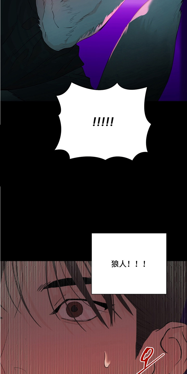 内在爱非人男友漫画,第7章：狼人5图