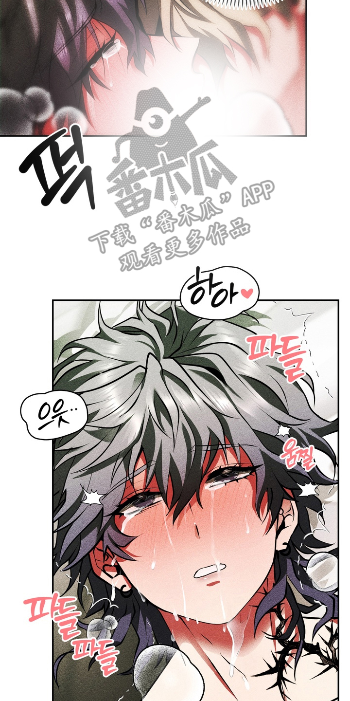 落饵之日漫画,第9章：才刚开始1图