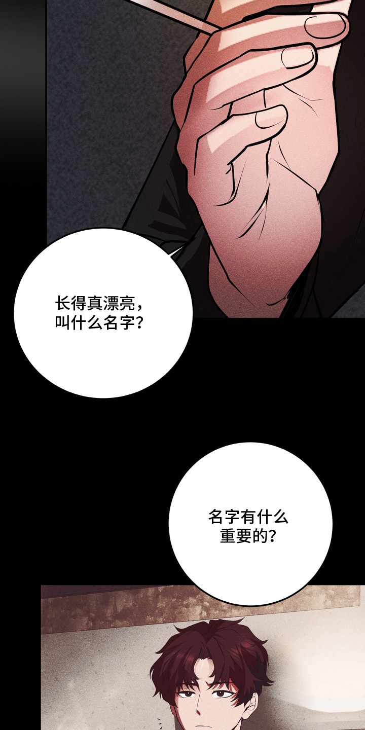 落饵之日漫画,第10章：理事的未来5图