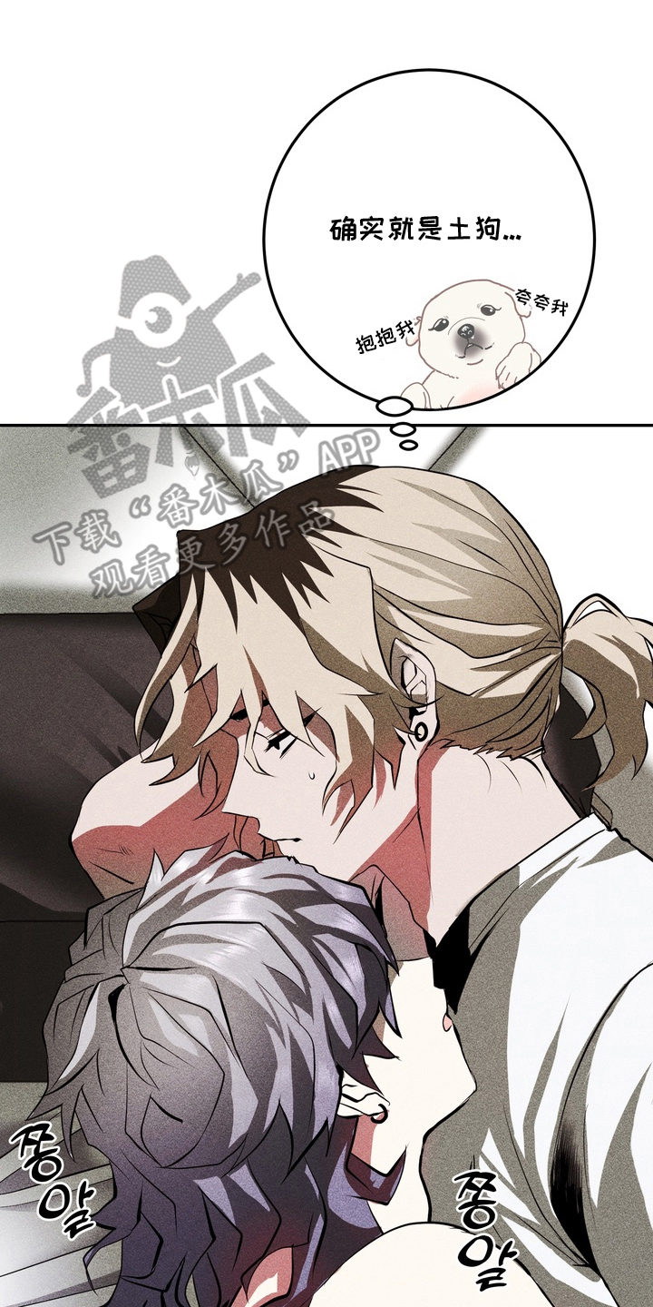 罗尔职业兴趣论漫画,第13章：土狗5图