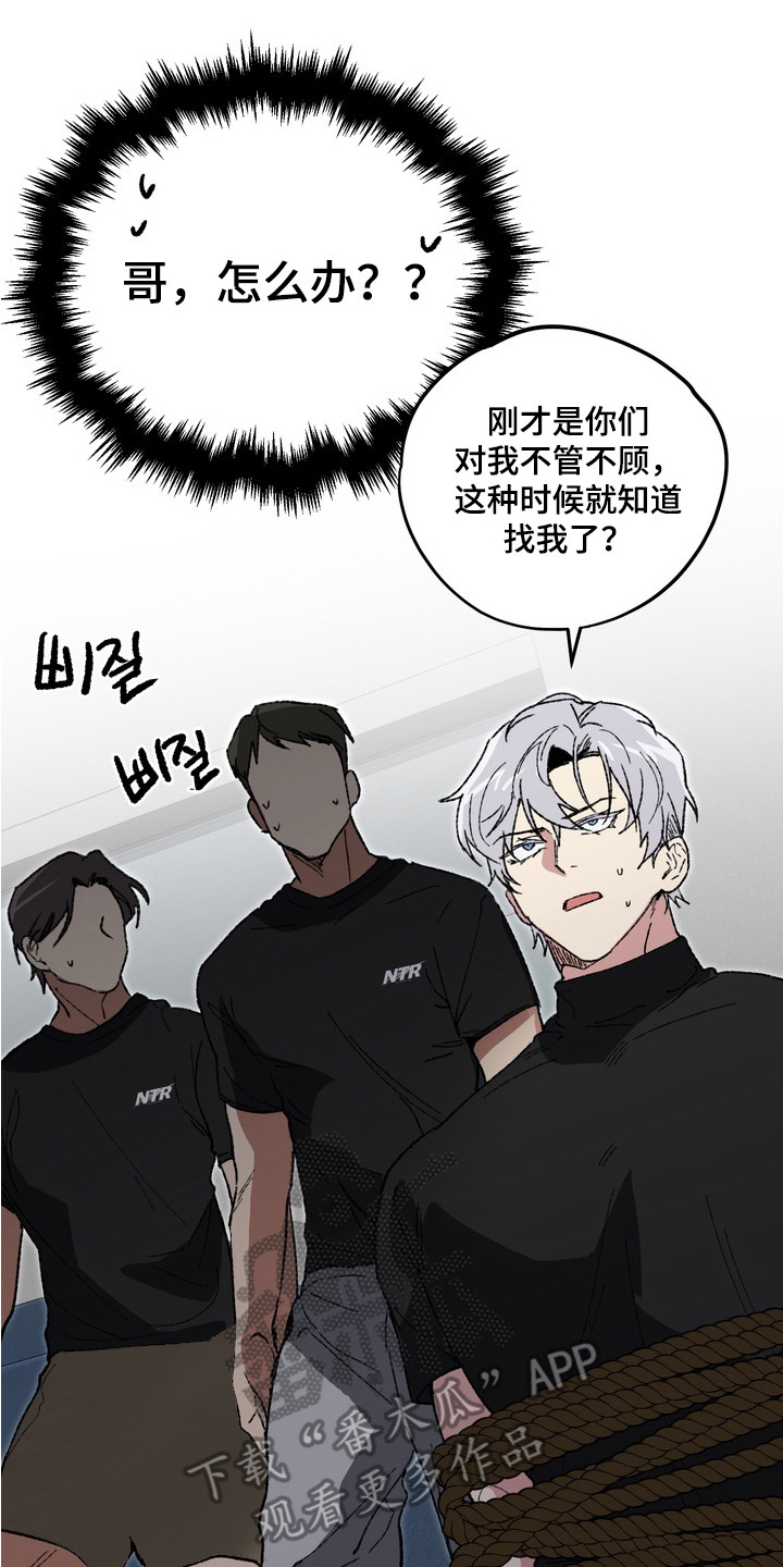 内在爱混乱聚会漫画,第8章：底牌5图