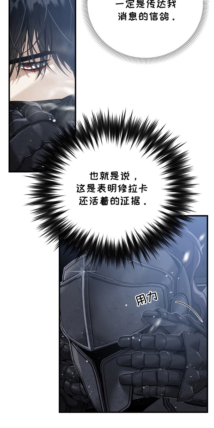 白夜的旋律漫画,第19章：亲自讨伐3图