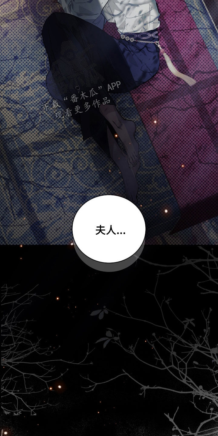 白夜的旋律漫画,第23章：错觉2图