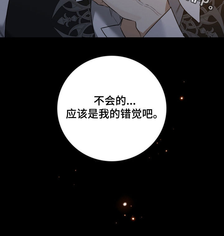 白夜的旋律漫画,第23章：错觉3图