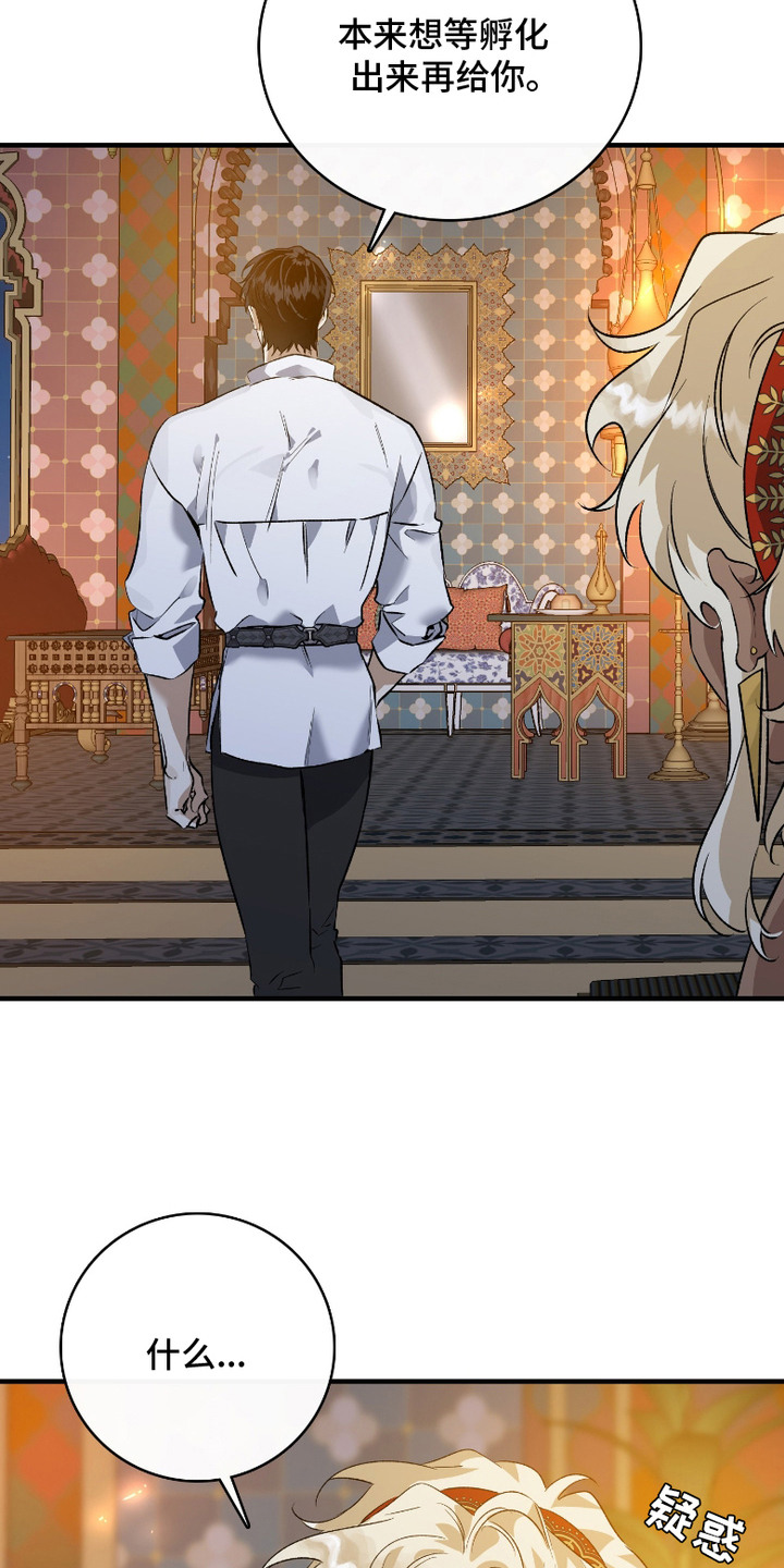 白夜的旋律漫画,第7章：魔蛋3图