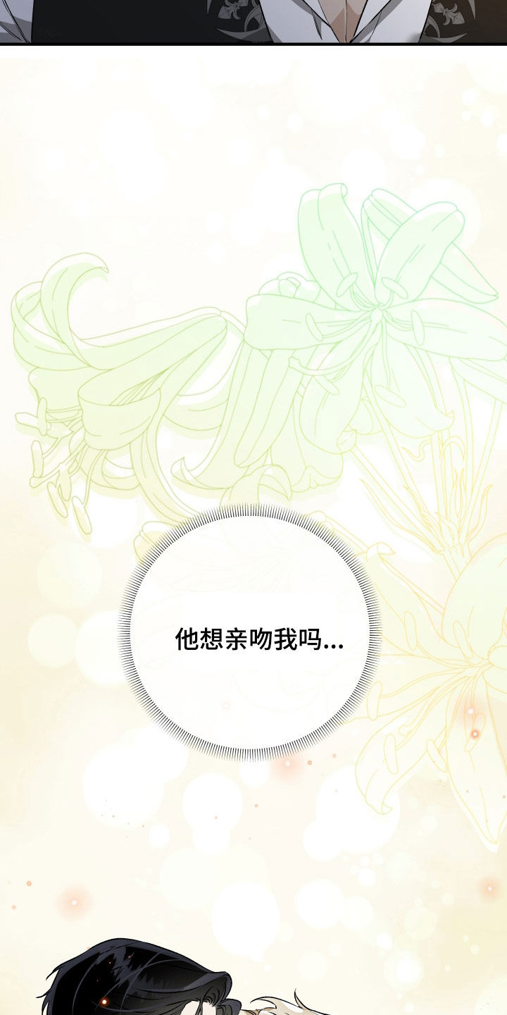 白夜的旋律漫画,第23章：错觉5图