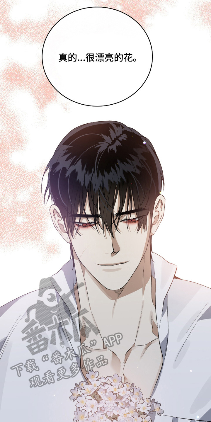 白夜的旋律漫画,第6章：梨花4图