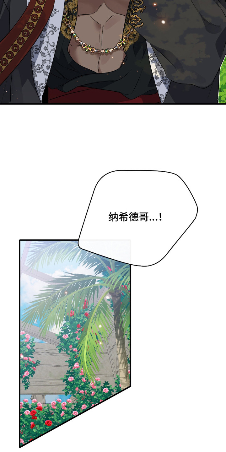 白夜的旋律漫画,第12章：二皇子5图