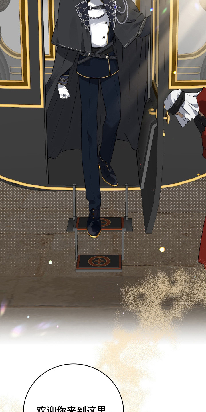 白夜的花路漫画,第3章：联姻4图