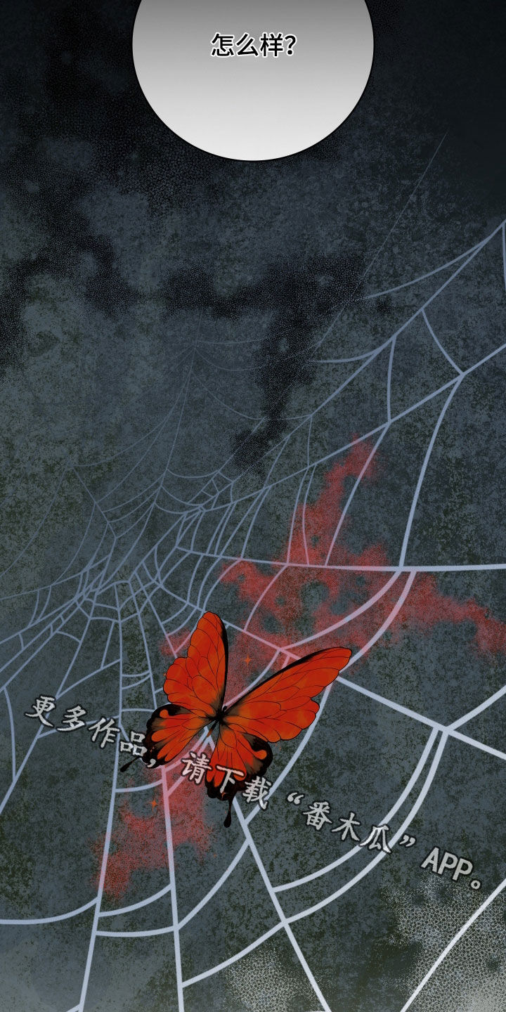 白夜的旋律漫画,第24章：缔结同盟4图