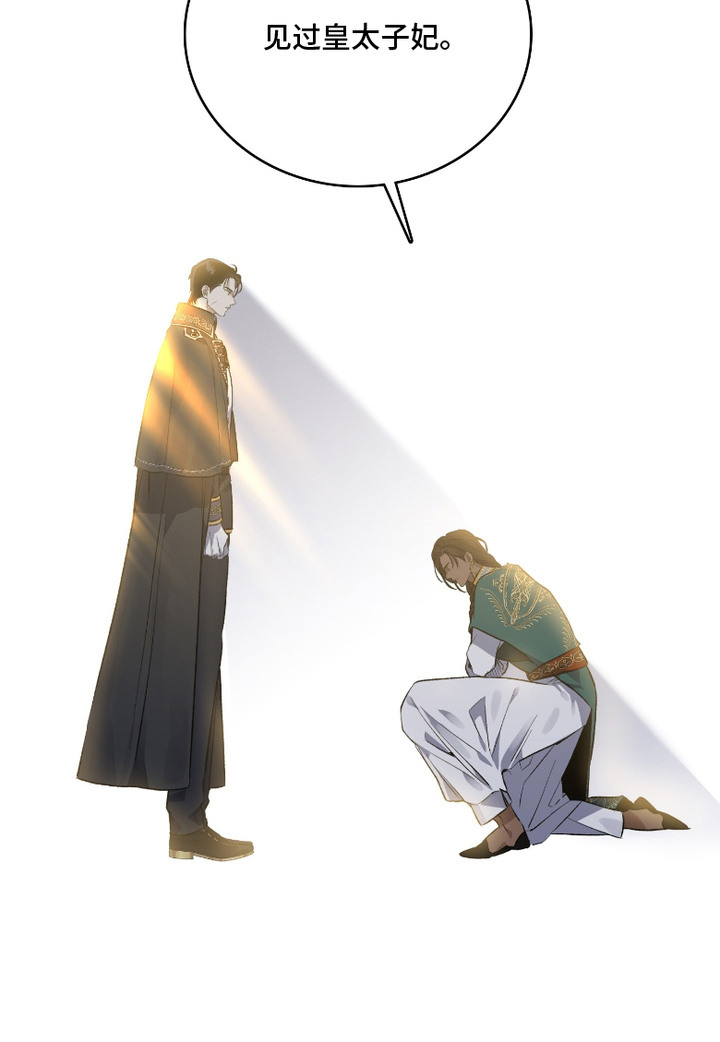 白夜的旋律漫画,第5章：想要守护2图