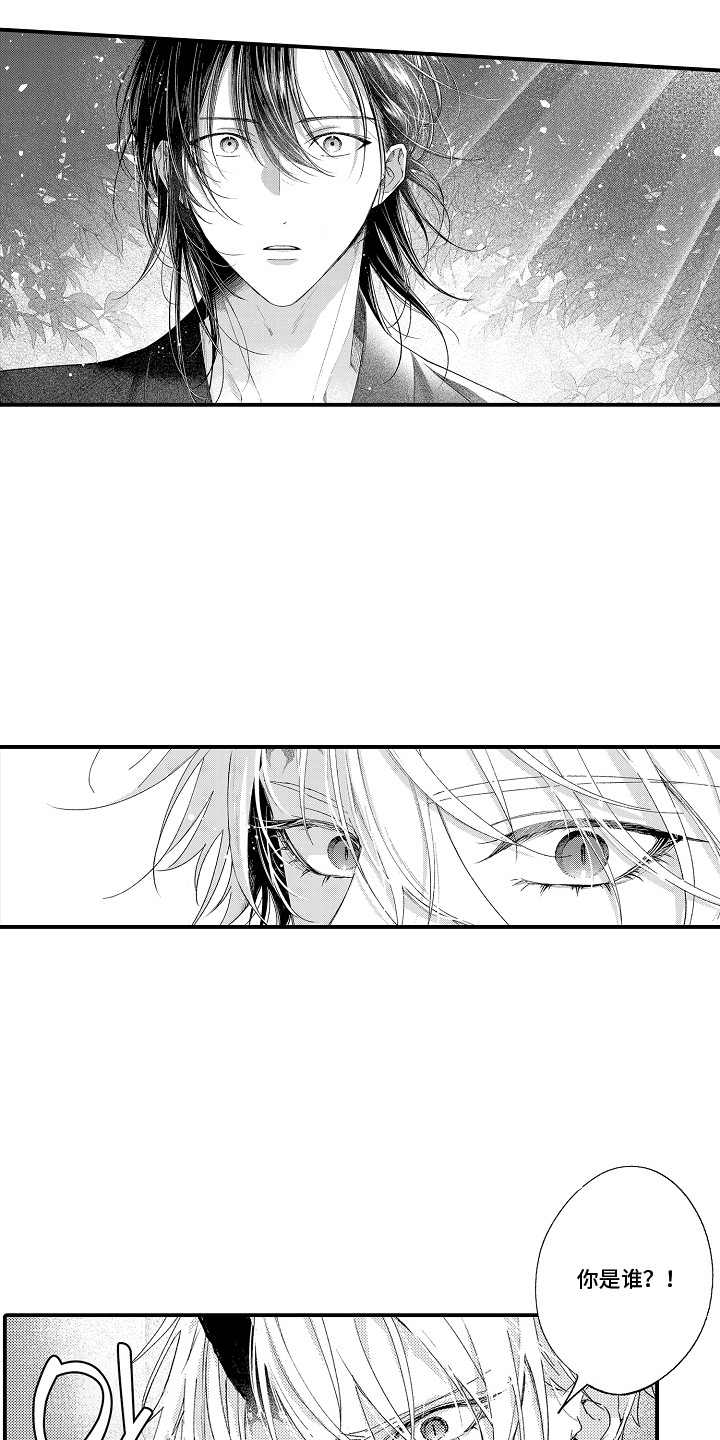 在樱花凋落前漫画,第3章：森林深处5图