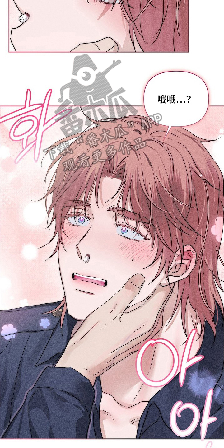 《甜蜜陷阱》档案漫画解说漫画,第9章：接受告白5图