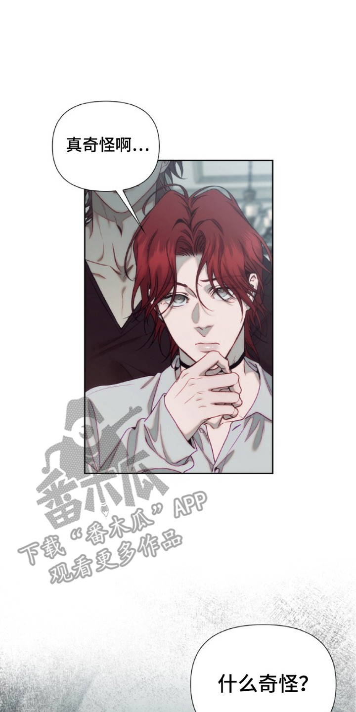 血色魅影漫画,第13章：家庭合照2图