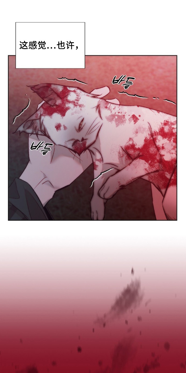 血色魅影漫画,第18章：所渴望的事4图