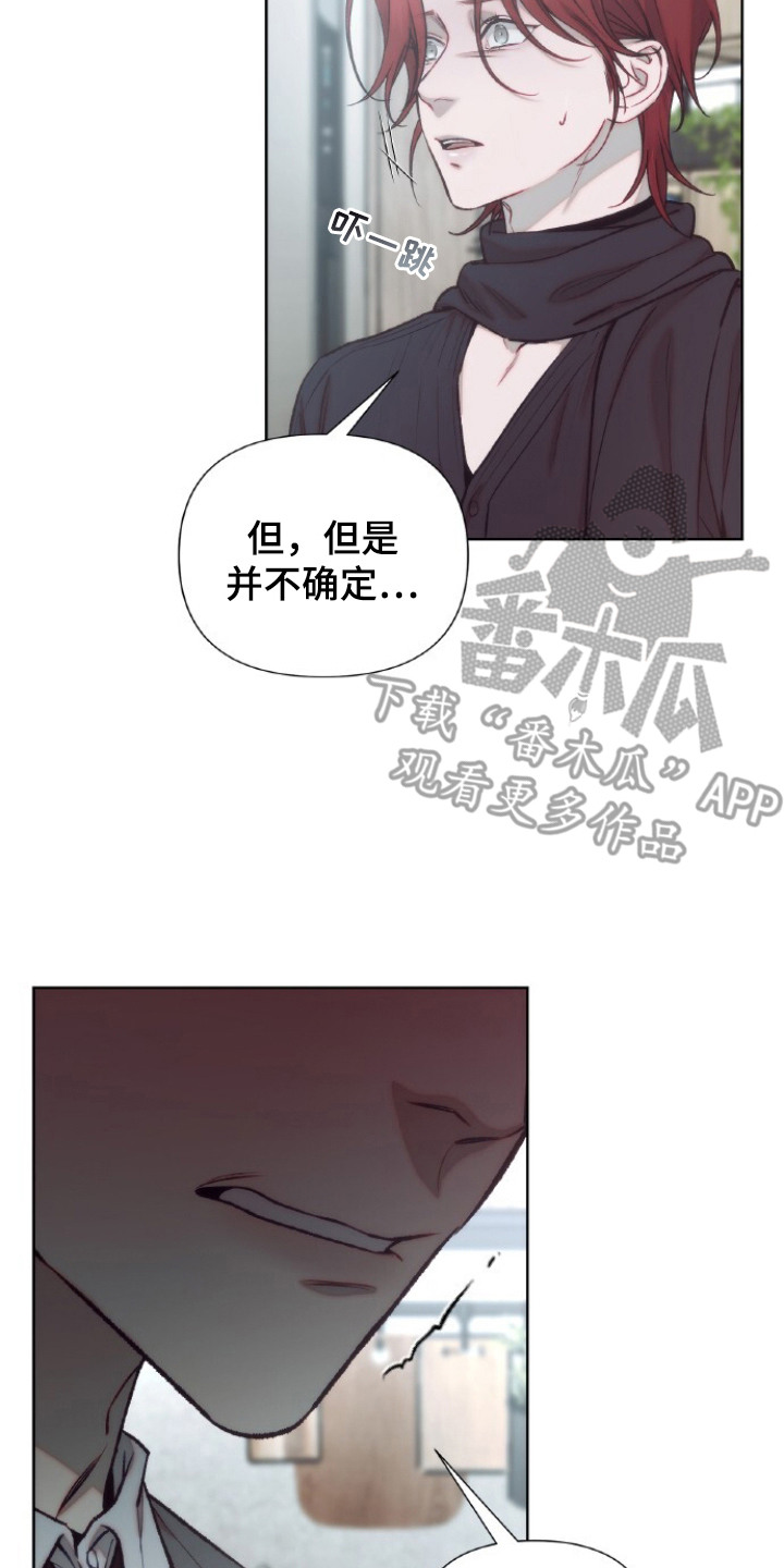 血色魅影漫画,第15章：资料2图
