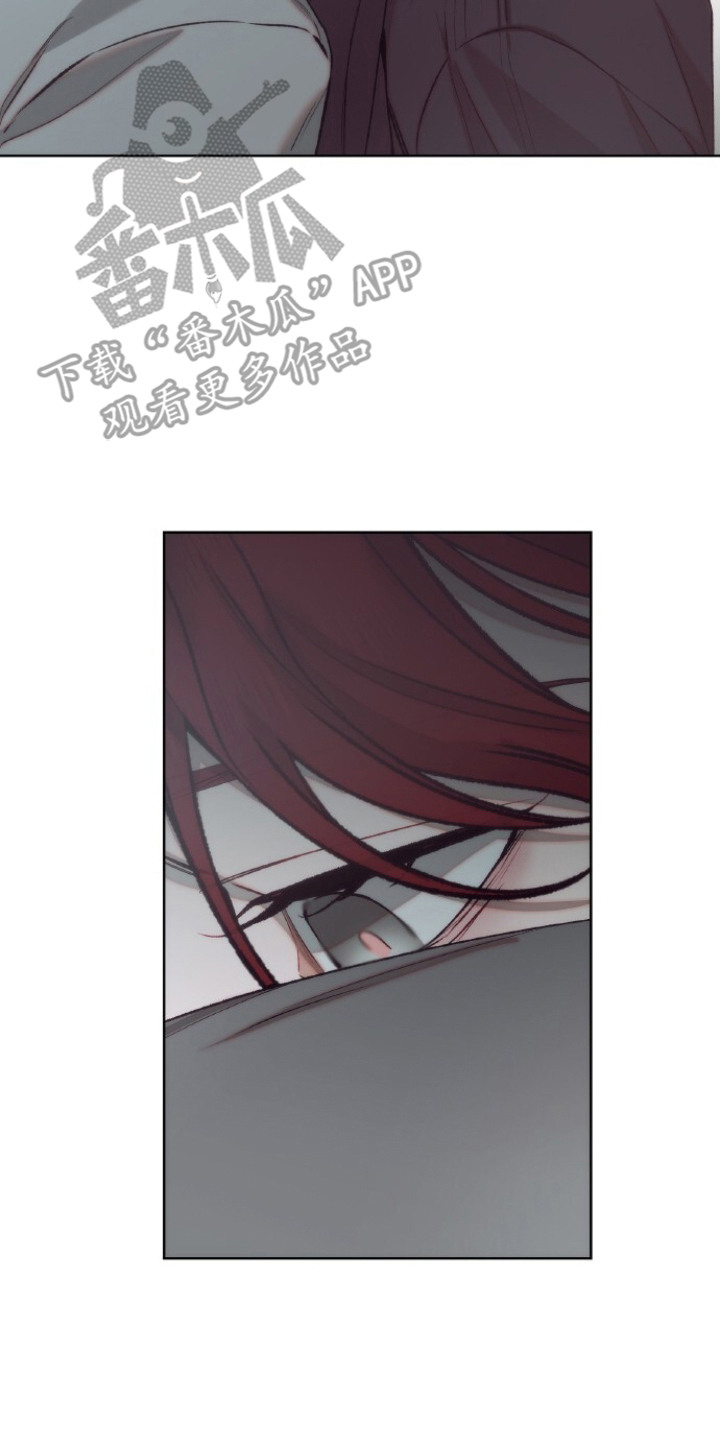 血色魅影漫画,第15章：资料1图