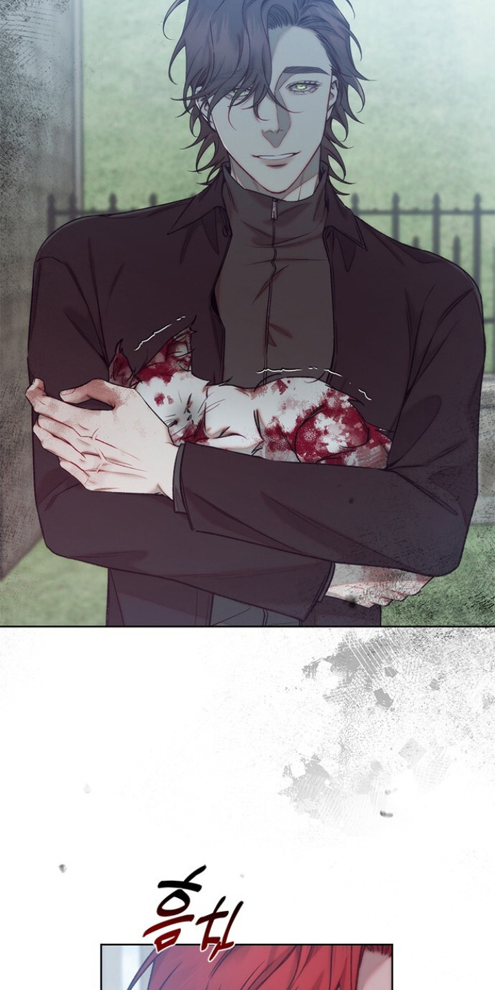 血色魅影漫画,第18章：所渴望的事5图