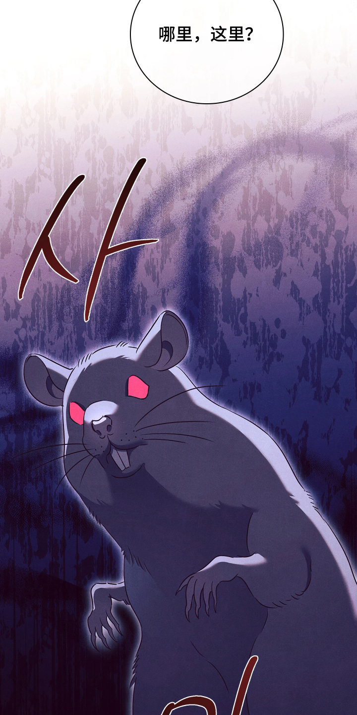 误入螭途漫画,第19章：什么情况2图