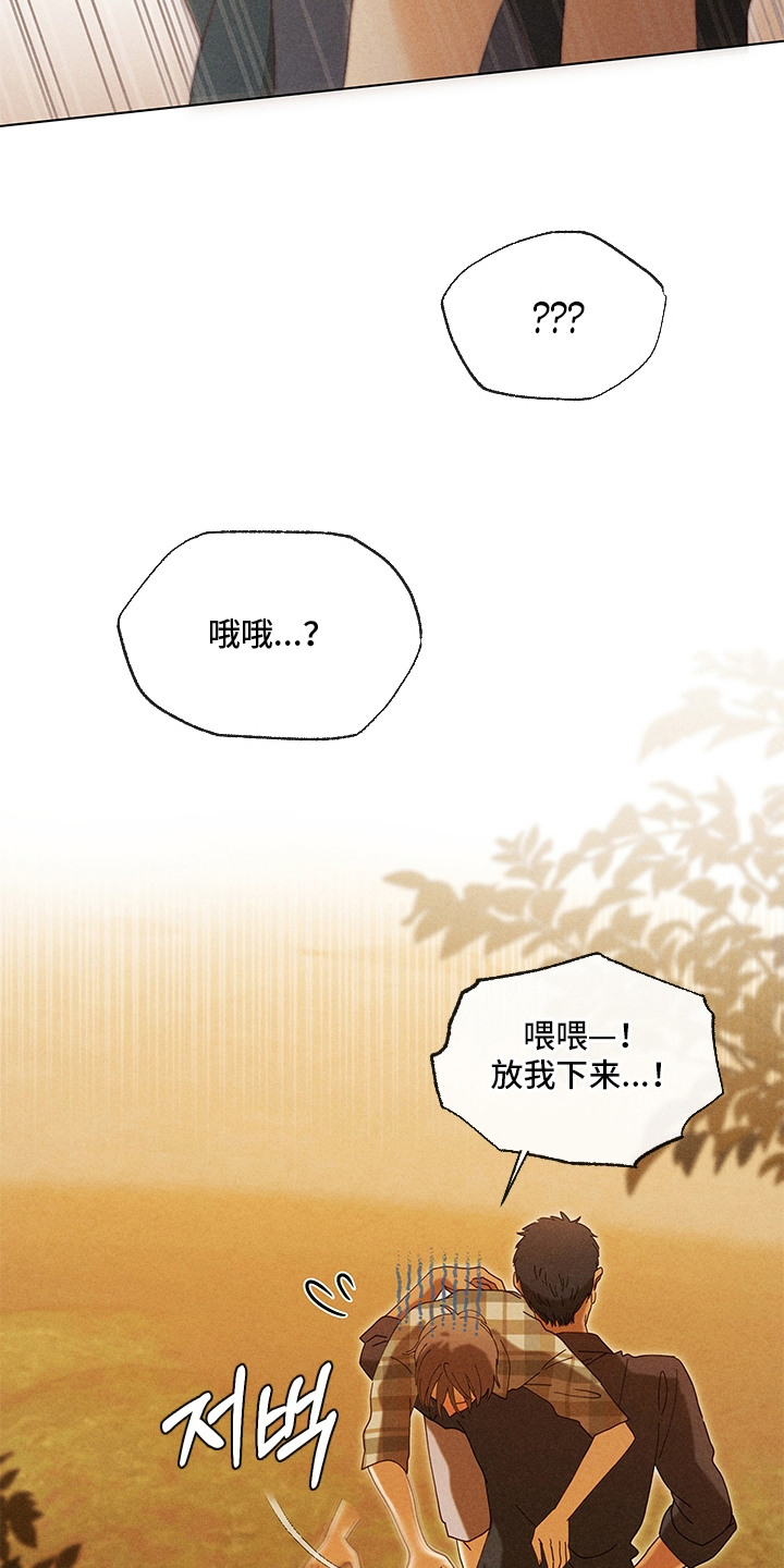 都市美男下乡记漫画,第17章：喝醉了3图