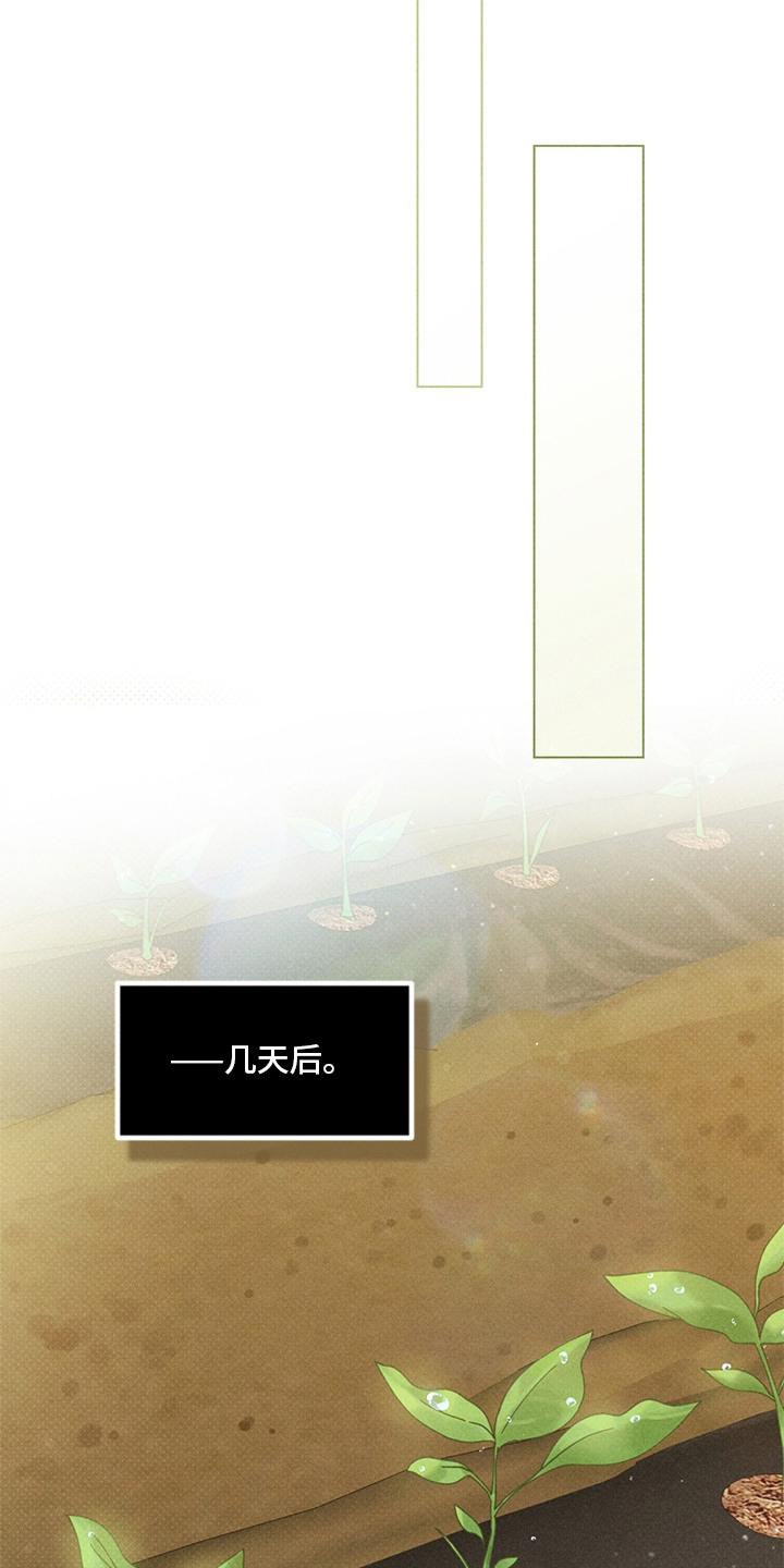 都市美男下乡记漫画,第16章：酒席2图