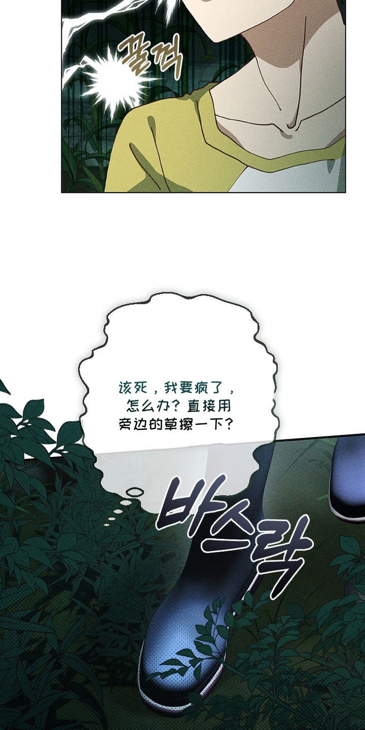 都市美男下乡记介绍漫画,第4章：没带纸1图