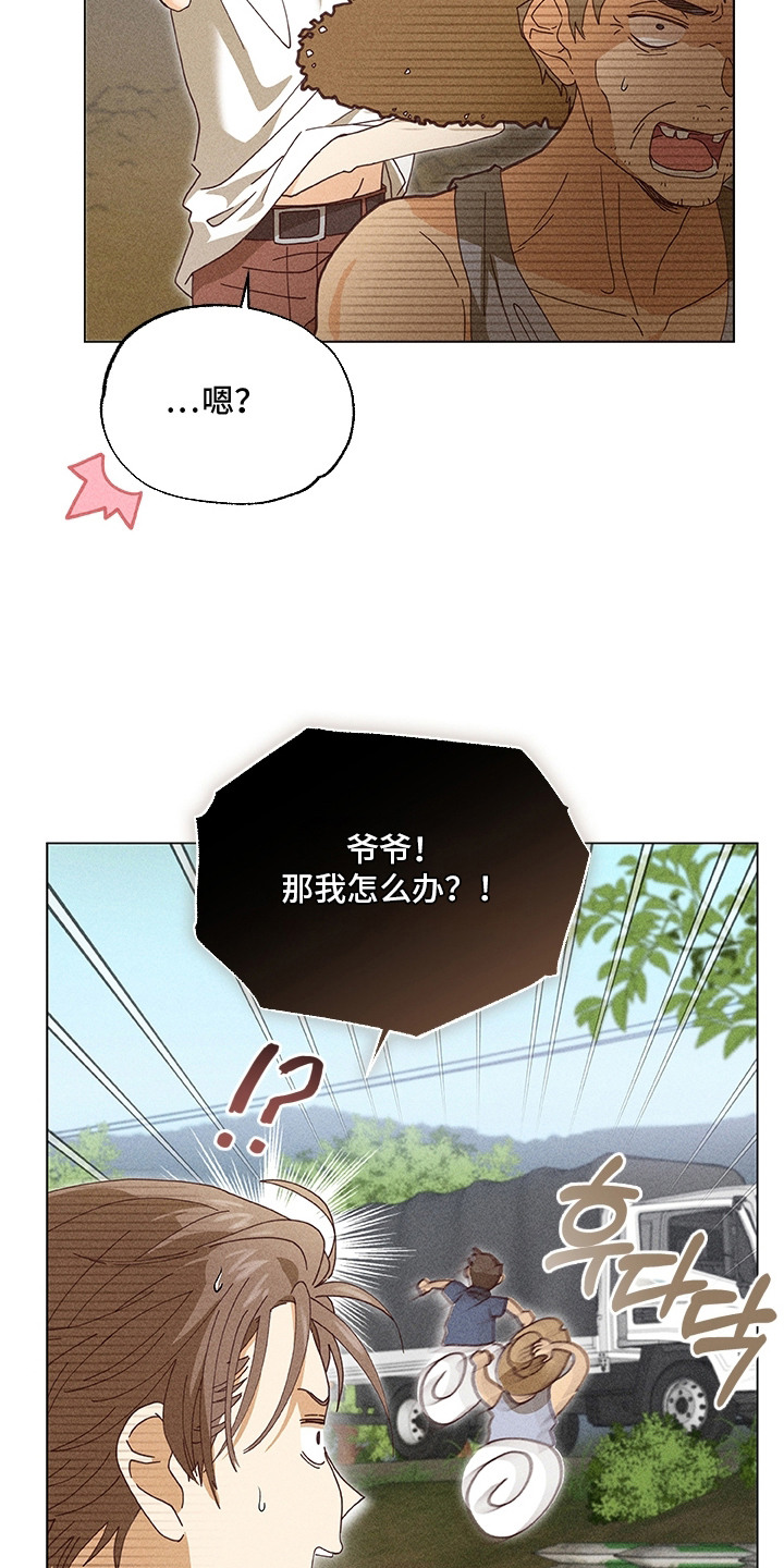 都市美男下乡记最终结局漫画,第4章：没带纸1图