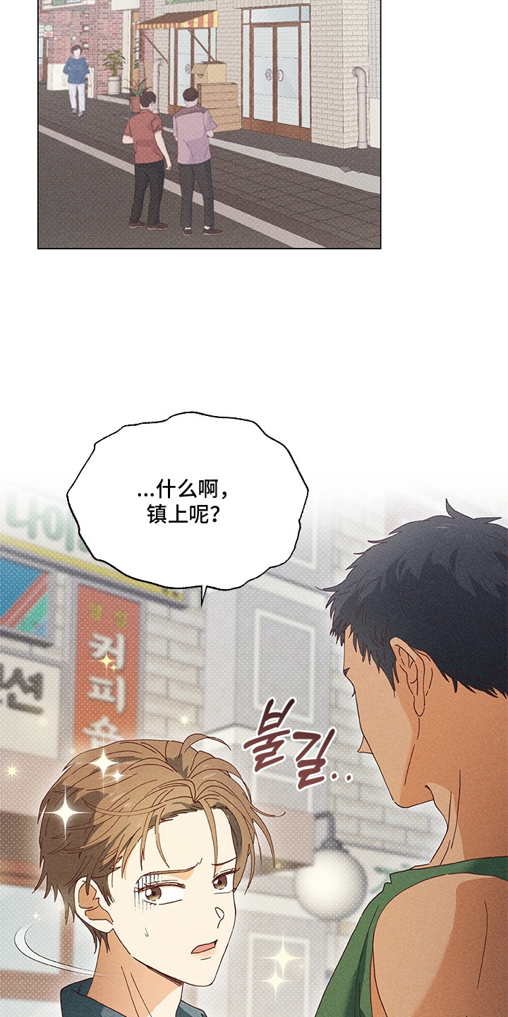 都市美男下乡记漫画,第13章：集镇5图